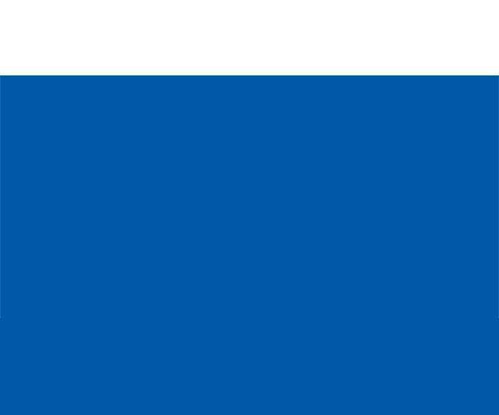 Hongdong Chemical