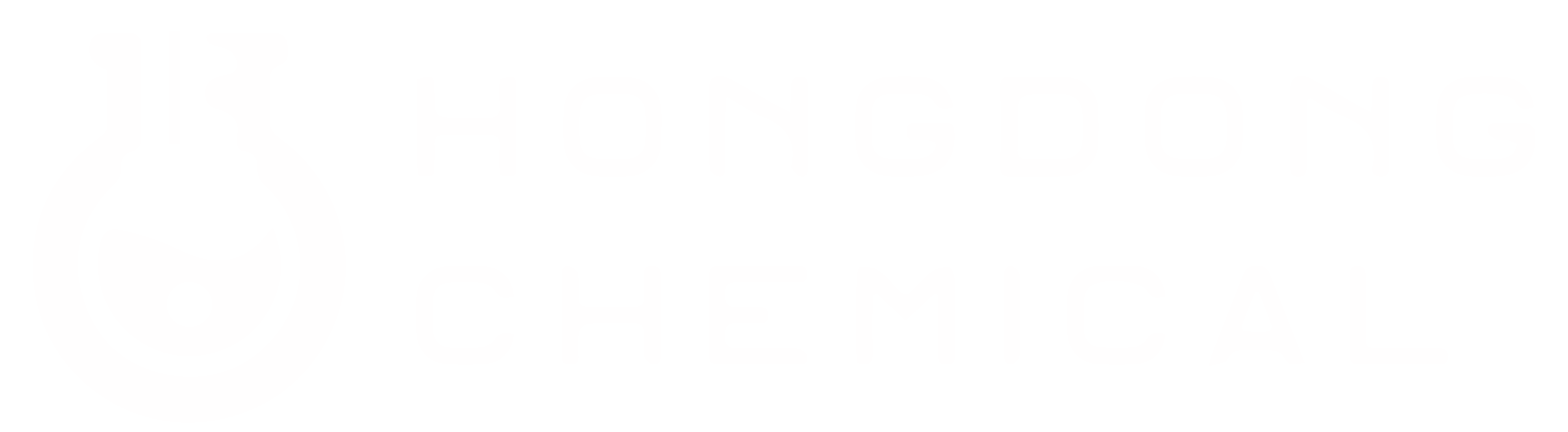 Hongdong Chemical